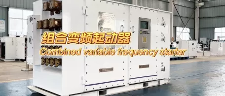 Combined variable frequency starter